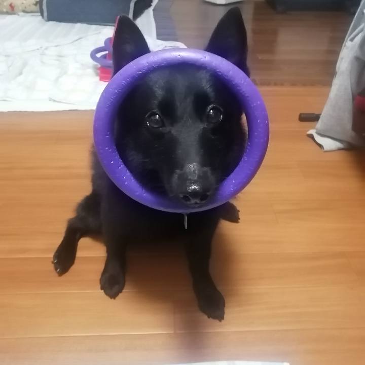 D634b773 b77f 429e 8699 33d9d4e82a18 1665958653400