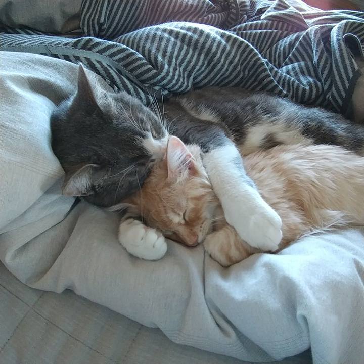 D634c146 5cf6 4fa4 8426 f70f63efa02c 1612571342009