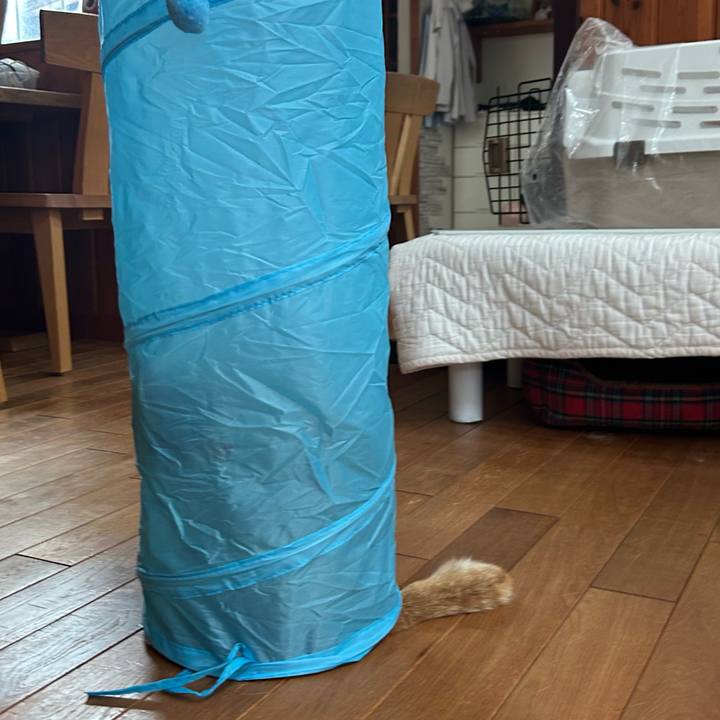 D634c95b ba7b 4901 b1ff 6f653723074b 1687673840617