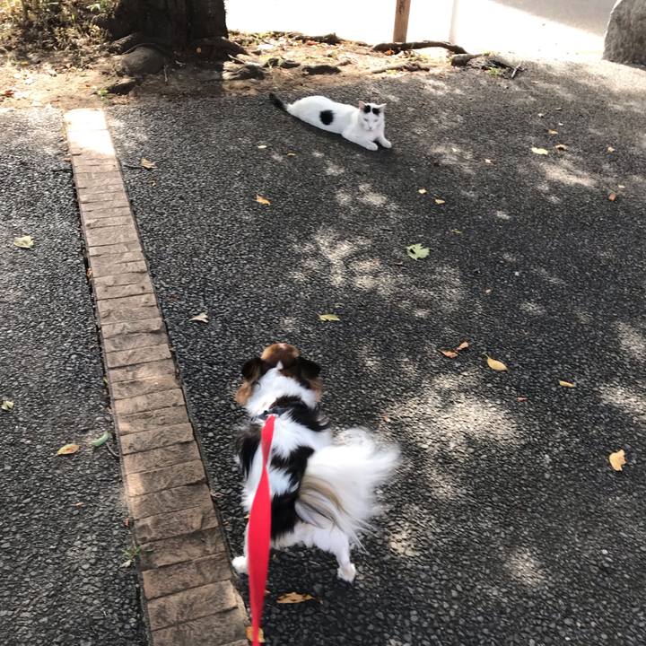 D634ccea c154 4fa8 b2e1 19e0475524e7 1568507083696