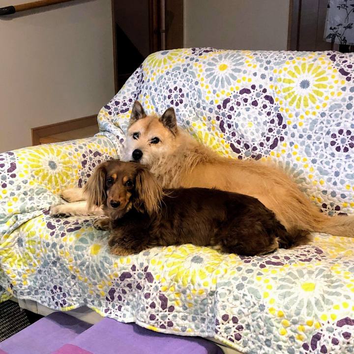 D634f1cb f8af 4de1 a302 7d9908e0ec48 1556233783652