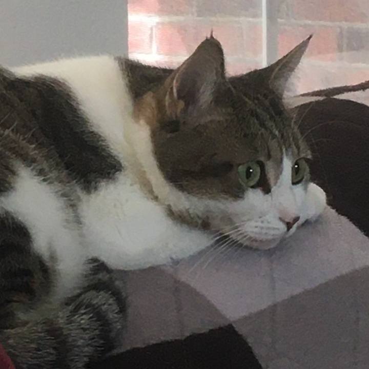 D635392f 9cba 427e b341 d43090bdbaeb 1658797736737