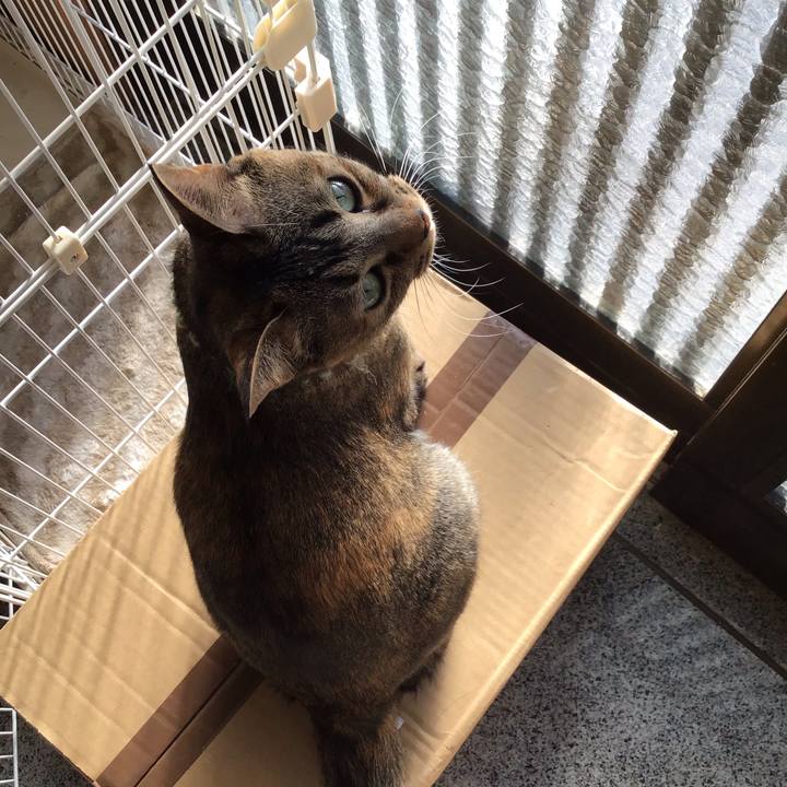 D635523f 93a9 4632 ae13 2188f0c87936 1641173800704