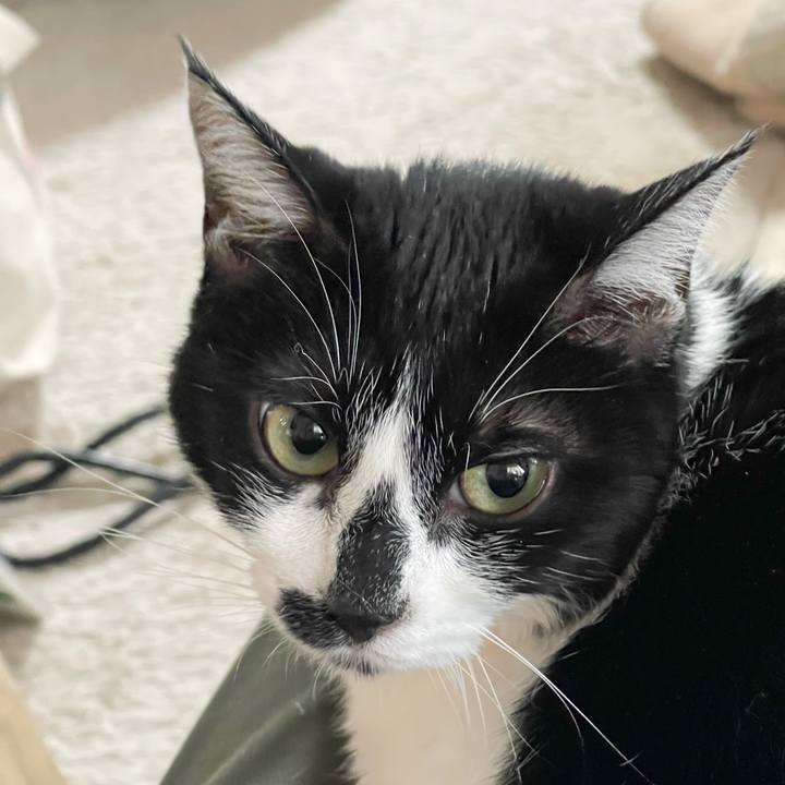 D6355711 29c4 4146 a125 440e5c6d5f85 1770591283448