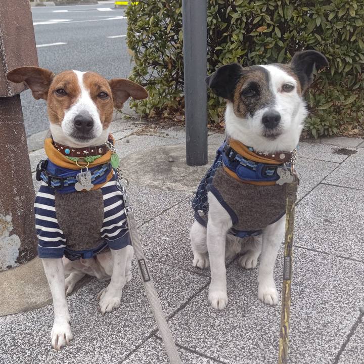 D635606e 1111 4ac2 a78b e0830ddfd979 1645225792526