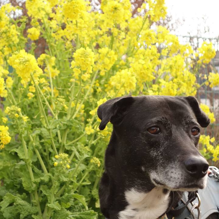 D6357651 be6e 4568 9dd4 0bfc7e931b8e 1740874299824