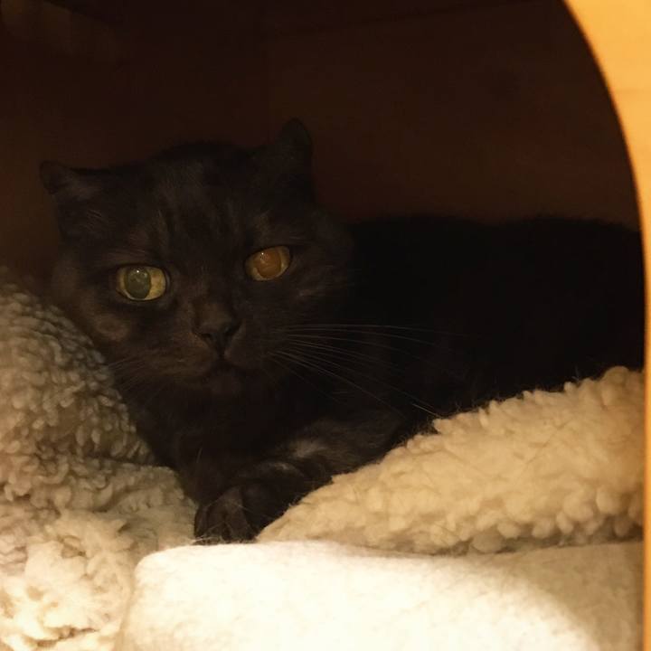 D6358765 7490 42cc 8151 13c436e5052c 1572711793979