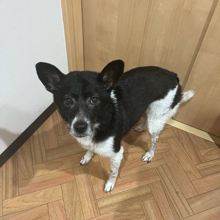 D6359414 b0ec 4eab 90f1 7fb15345bc9c 1685362397219