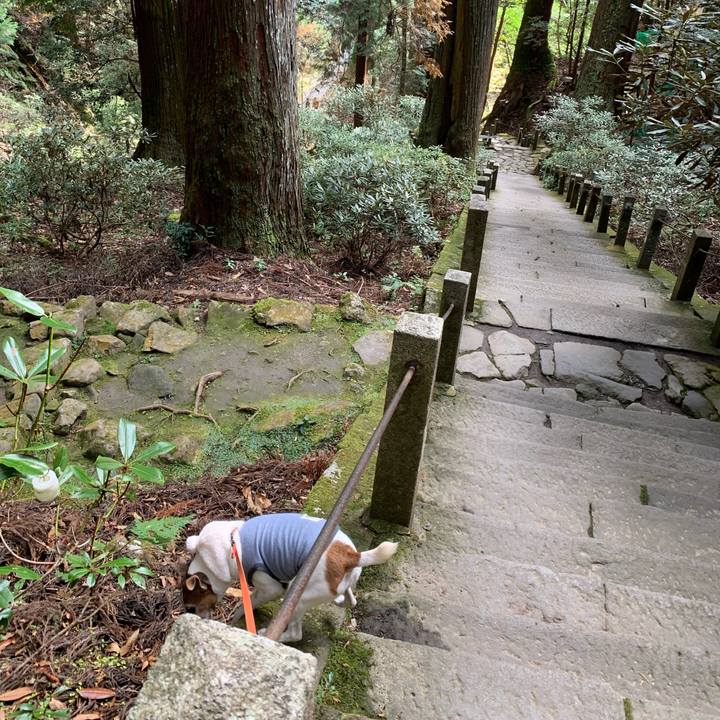 D6359cb1 d138 49d7 8853 b72ad1af15ea 1575298809939