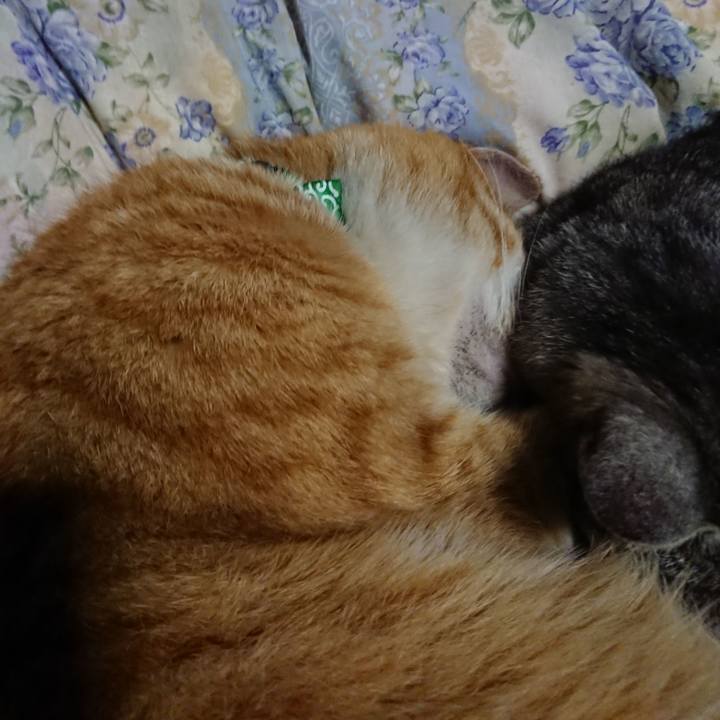 D6364ccc 914b 4d04 b1ba 22b31c60af91 1582377205957