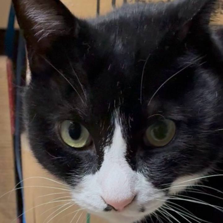 D636809b d13d 438d 8bb8 31cf3dca4080 1775820696204