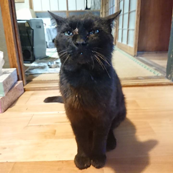 D6369c9b 955d 4d7f 813f 02fb7d67c3c0 1623580129899