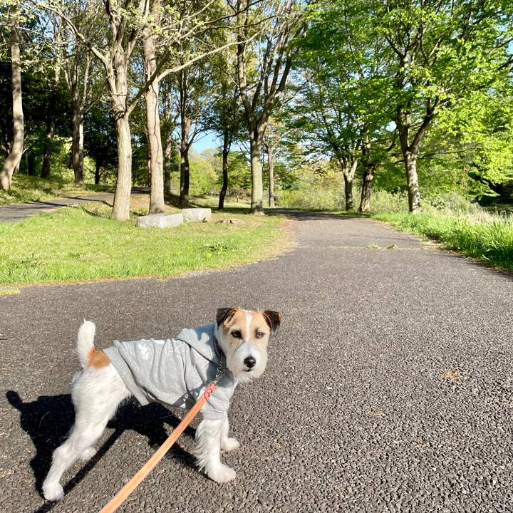 D636baed ff1d 4a18 954c d1e7b7092e29 1681122786582