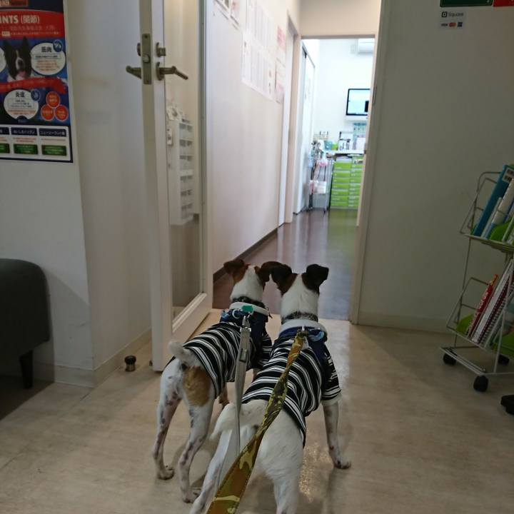 D636d5da b565 4ec6 ae1c f34710957de9 1540008364511