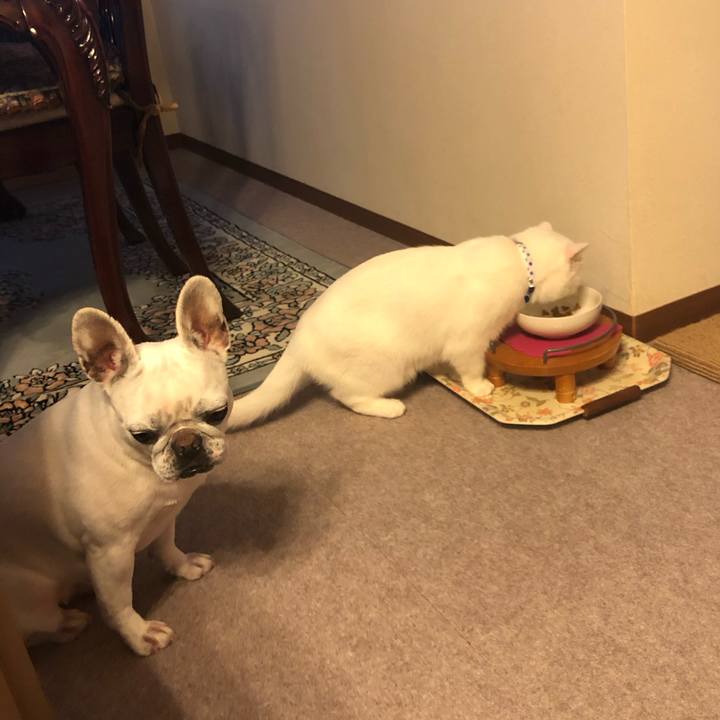 D636e12c cfe8 4c26 bc11 6dd25f0df67c 1587991566798