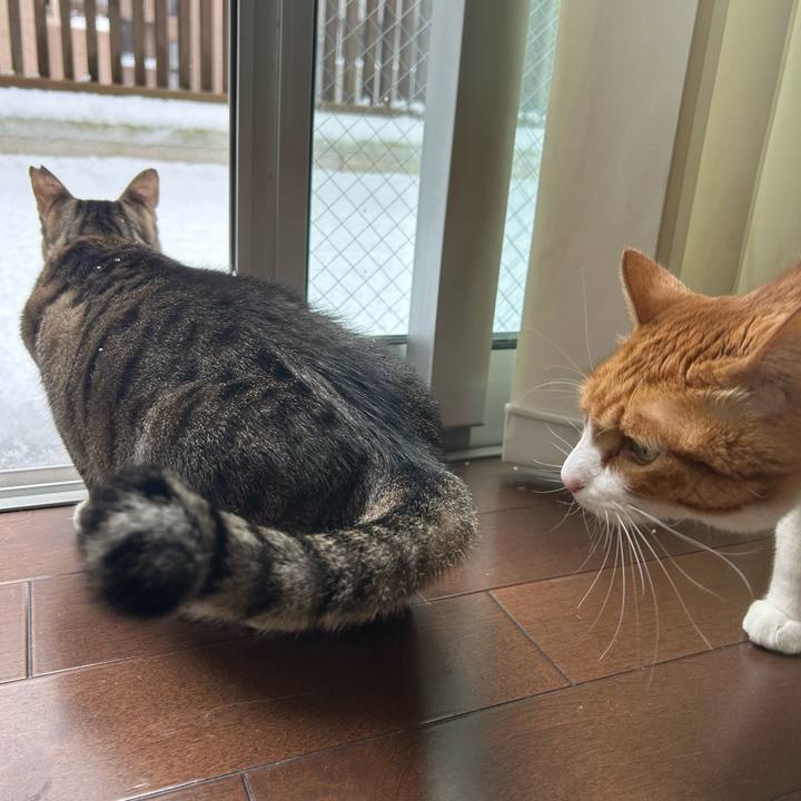 D637390b 0866 4ec0 a73b 66b11485d2c5 1770521160653