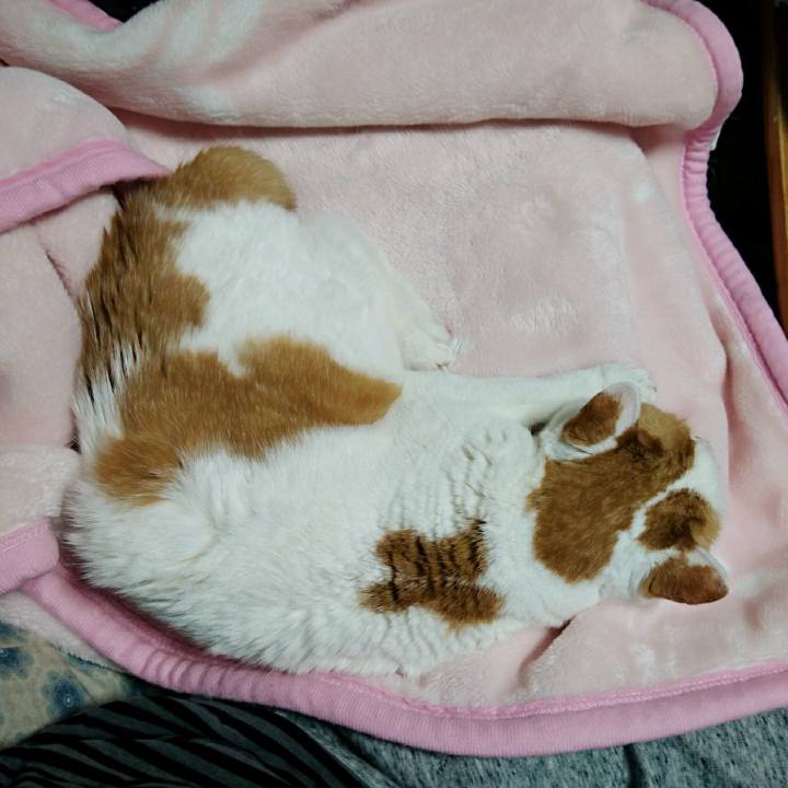 D6373c51 a253 4005 ae42 60adc42bbb86 1514635567365