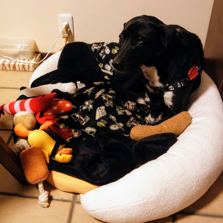 D637433c 8b78 4835 8ed9 6db1317e3588 1611053574846