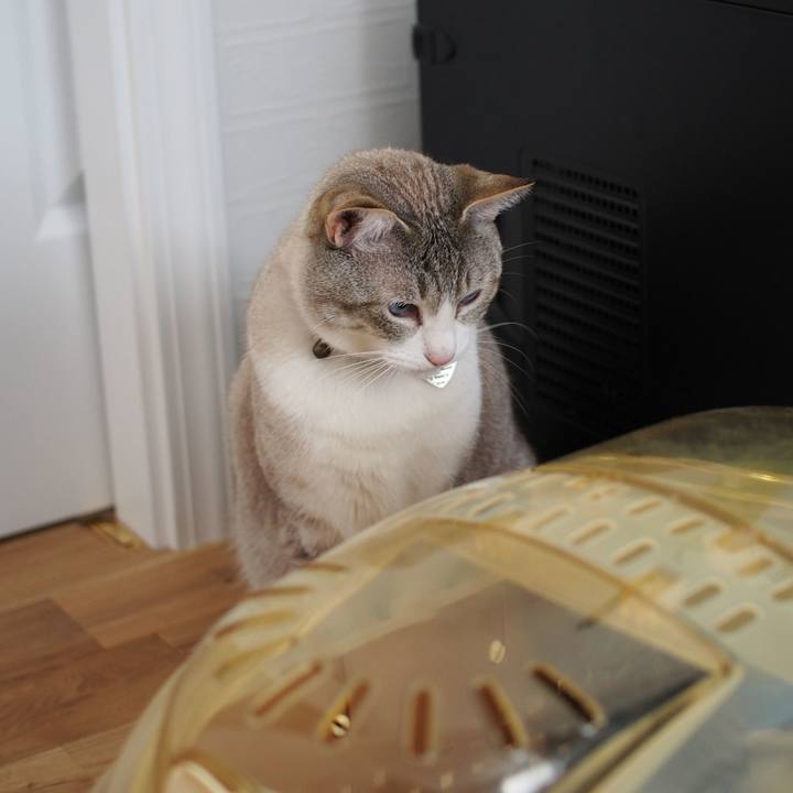 D6374751 76ca 4e30 b46b d4f9c8bb2e9e 1559962397041