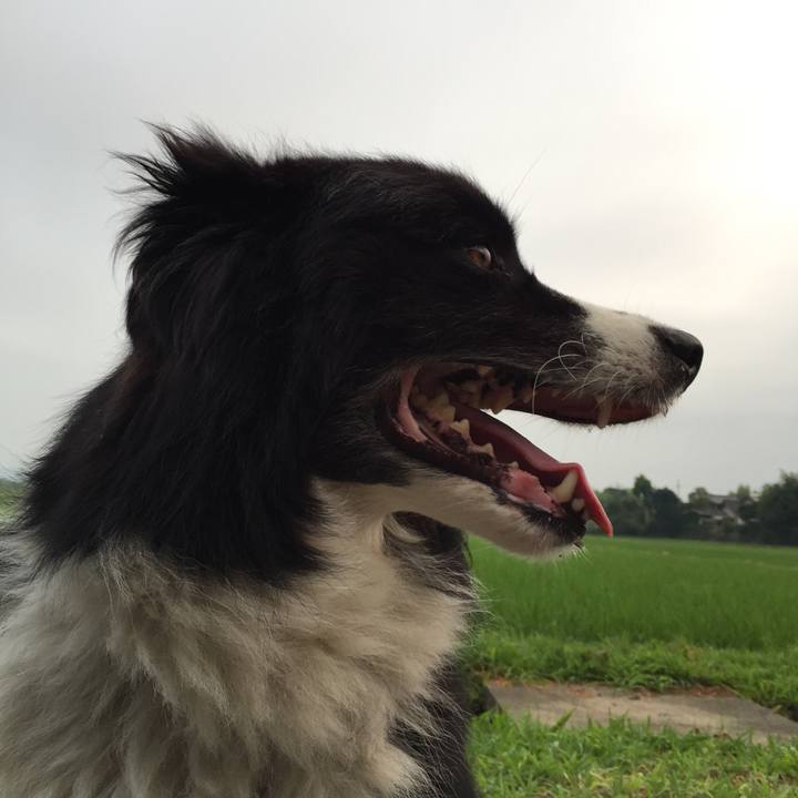 D637519b b5e7 4e3a bfa9 d1e54b8e455e 1532378785680