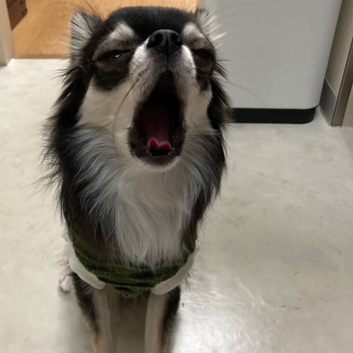 D637c148 4bb6 4387 b252 2339024dd0c3 1611480025294