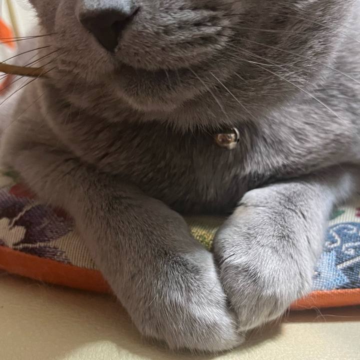 D637e5eb ecc5 4d62 961c f34e217d80f5 1730212252056