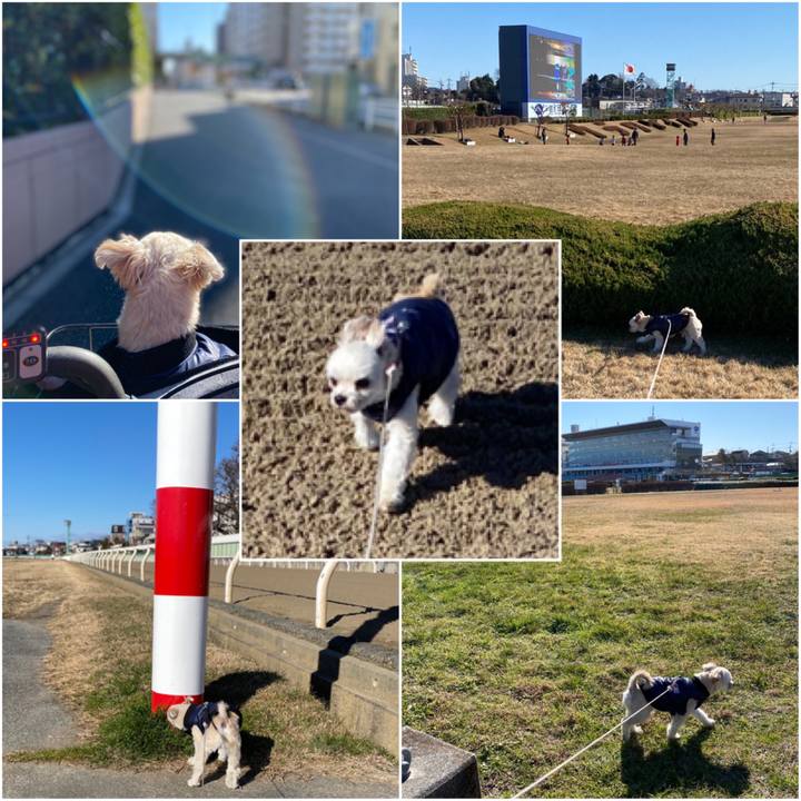 D637fedf f195 4363 9978 dbccff368816 1577532372935