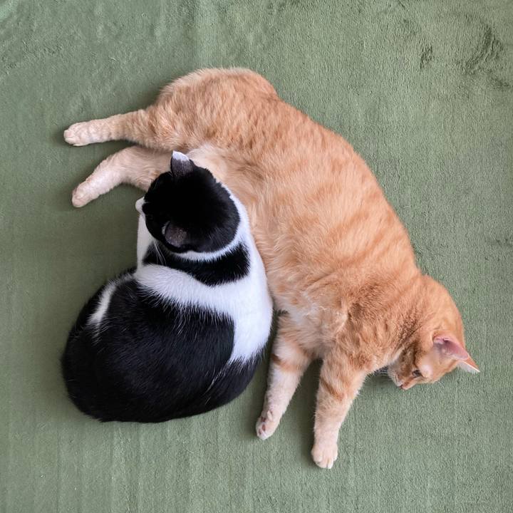 D6386780 fa5e 4e36 8a1e 34d5f56f2364 1765596874475