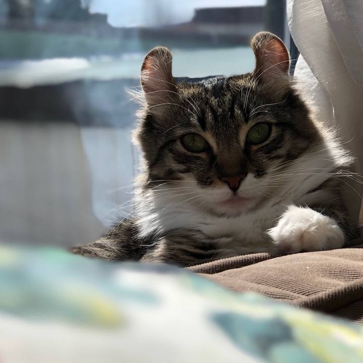 D638dc50 0a9f 4091 8fc2 a62bac592b0c 1521700534918