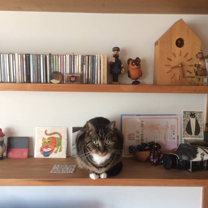 D6391778 4a65 4357 9614 b419af83bf46 1520901883805