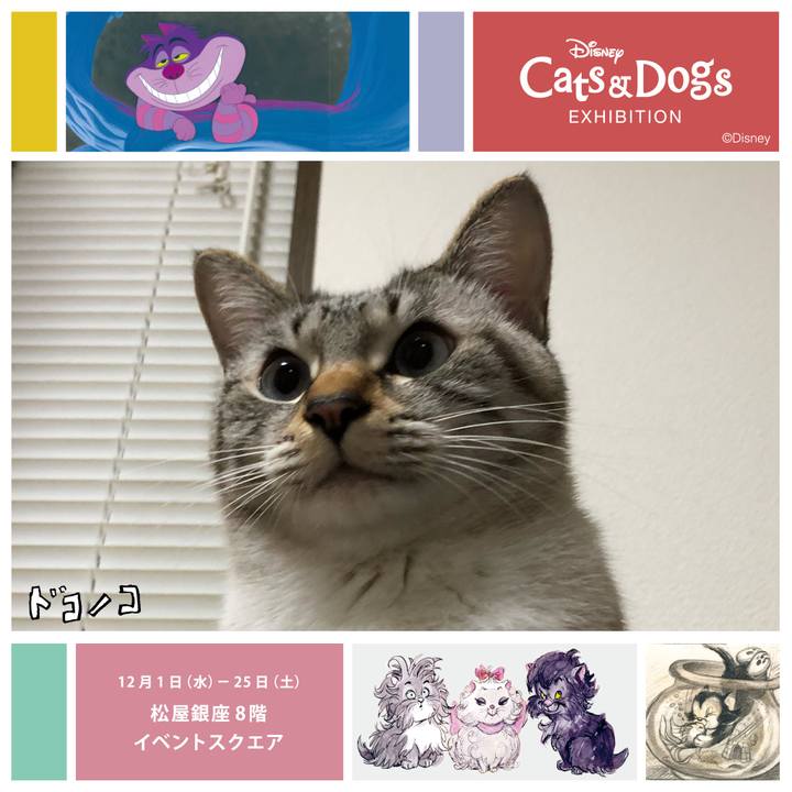 D6395820 79b7 45f7 ab80 b87d3fb4e751 1638781635030