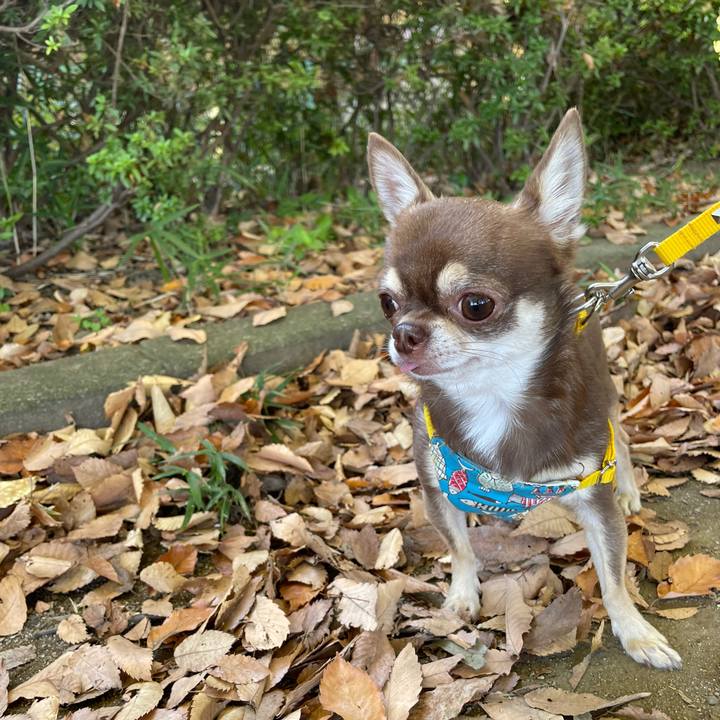 D6396b98 236b 4679 a25d 6eef5261e649 1667452640898