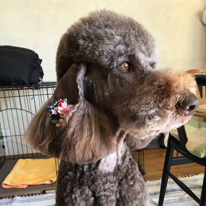 D639957f 34d5 4eaa 839e 568b3c0aa650 1520158925757