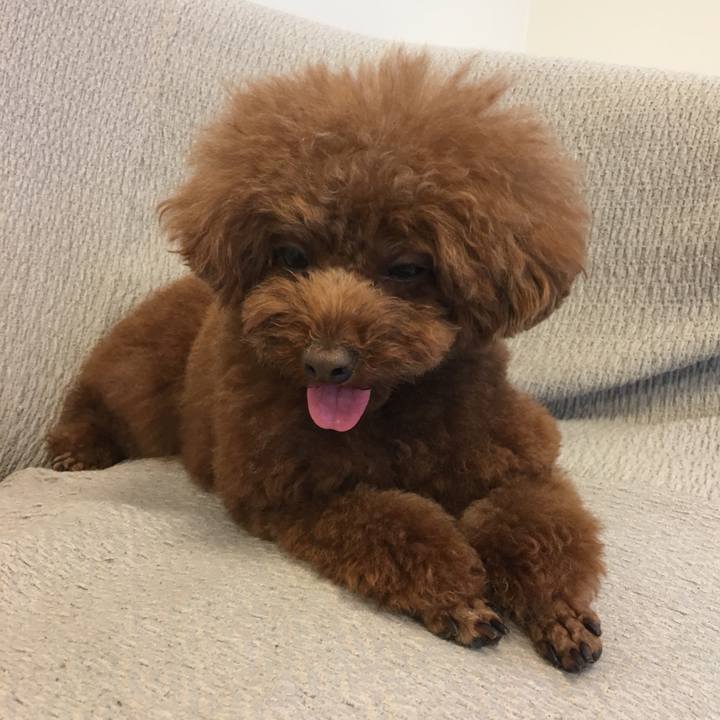 D6399913 f0c6 4084 af16 15c157459ef6 1532558191233