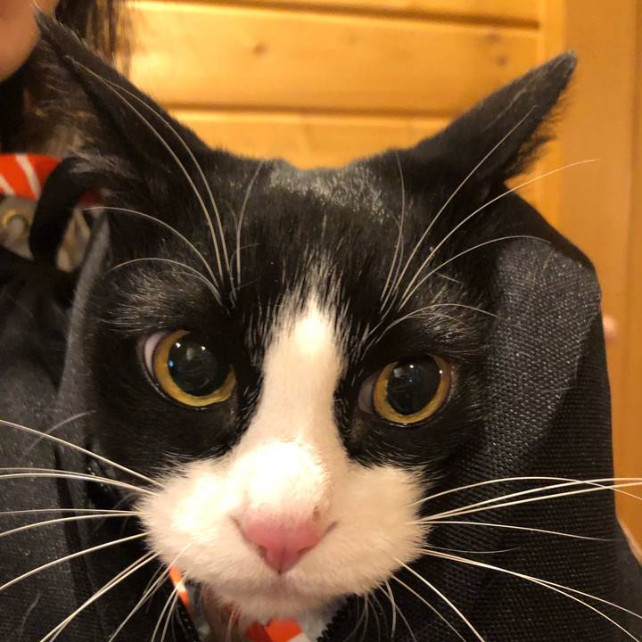 D639d797 f87d 4cec b9d1 a8dfac89bc81 1553179599687