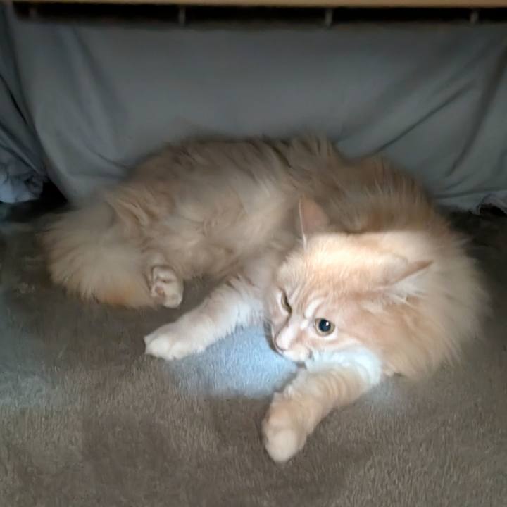 D639e6d6 b764 4d13 a4a5 de742b2b5d6c 1744764679173