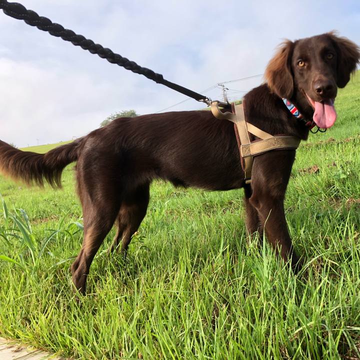 D639f87a 1fe4 45df bbce 61c252b64a24 1566350547479