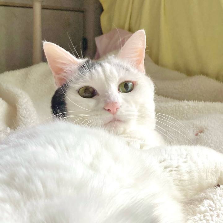 D63a33ea acdf 4b5a 9d1c 8ed948bc0f41 1665375938198