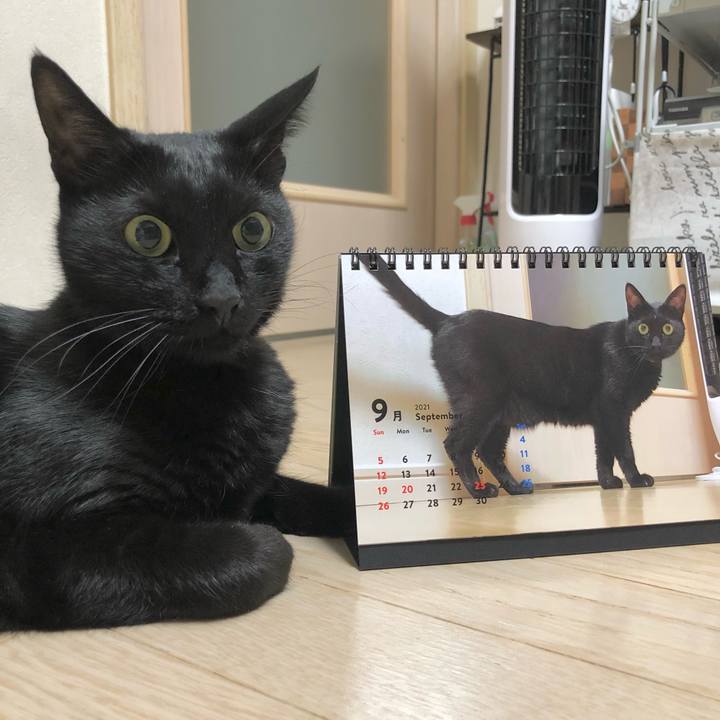 D63a4845 cc31 45a3 b703 0fb74eeccb4b 1632657255811