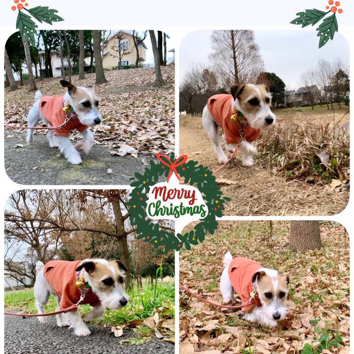 D63aa780 5d53 4664 ae27 12b6093cb86d 1608802834934