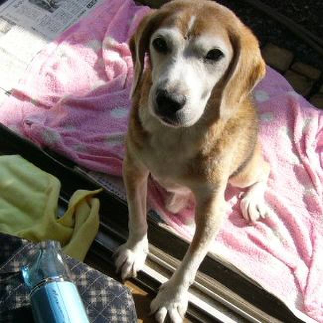 D63ae09e 1b57 42b9 9e20 a8b2bad39bfc 1671326819612