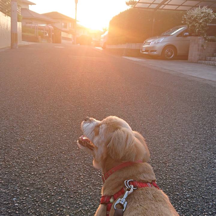 D63b2540 6a56 468a 868a f91e2d260020 1598181923023