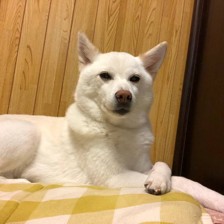 D63b2b9b 6c47 47f3 9dcf 75bd1ac40df5 1595079682693