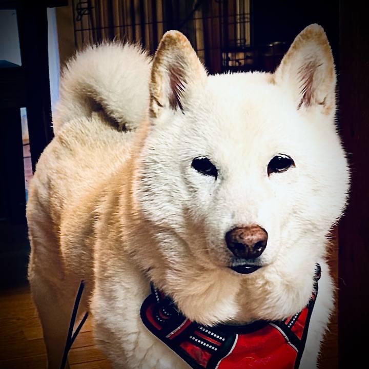 D63b3af4 47da 47c3 ae22 7c860a58622e 1772152893035