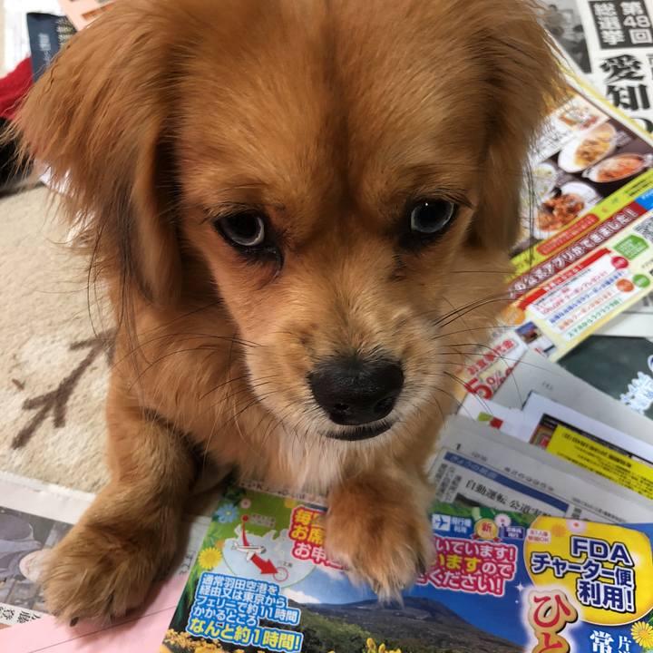 D63b865a 98cc 4199 886f c2c25d6fc5ae 1513463599021