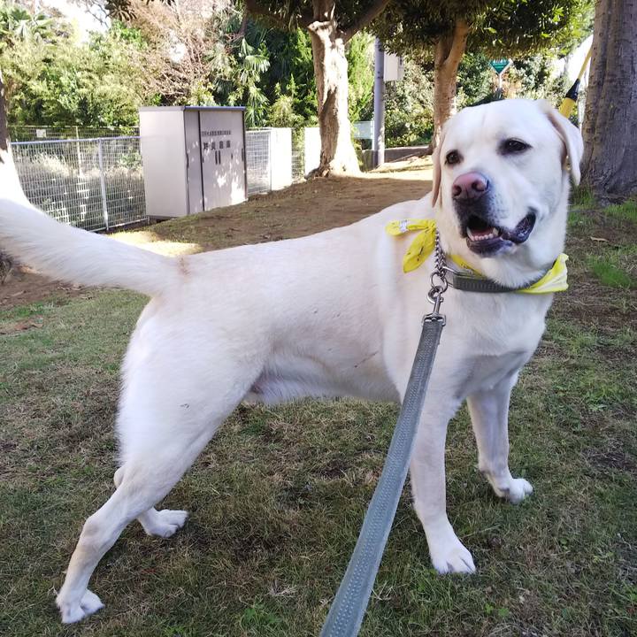 D63ba123 39cc 4acc 8ee7 bf1ff5dc3bae 1542418925432