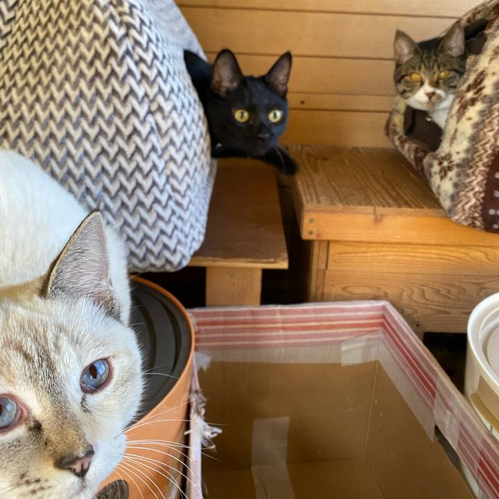 D63bf94b 9cbe 4fab af94 1dea1e97e63f 1637282699802