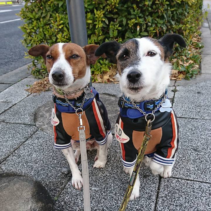 D63c0a76 91fa 40cb ab5a 4f490ccc2bb8 1611614510468