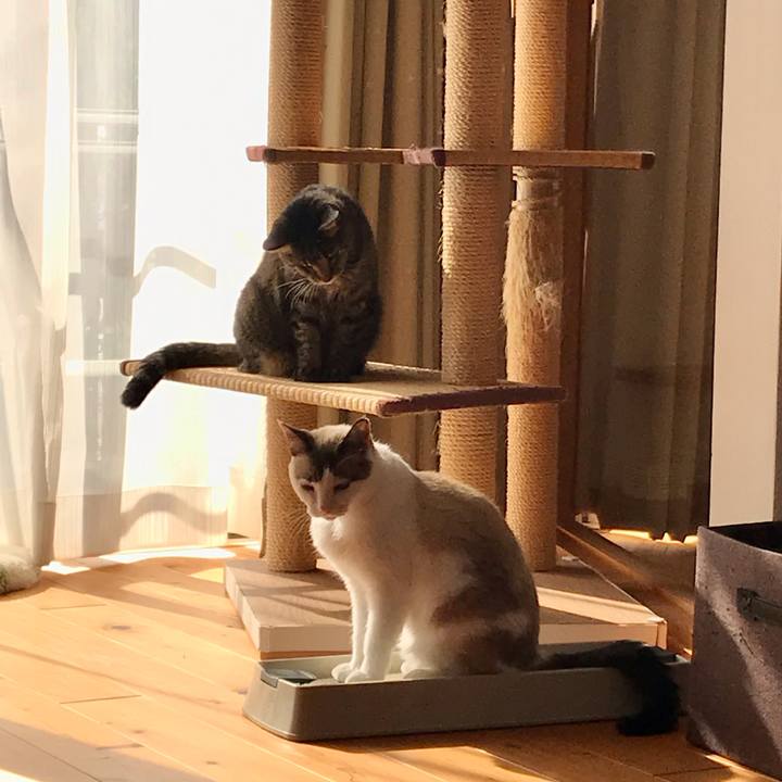 D63c3fc9 e1e6 482d a67e 8d305f2c4256 1605618499672