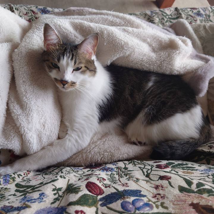 D63c46d8 40cd 4dc2 aeab 5f58cfbdb7a8 1729468815002